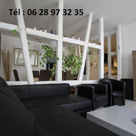 Gite Hyper Centre 10 Pers Colmar Zewnętrze zdjęcie