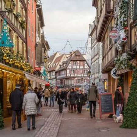 Gite Hyper Centre 10 Pers Colmar Zewnętrze zdjęcie