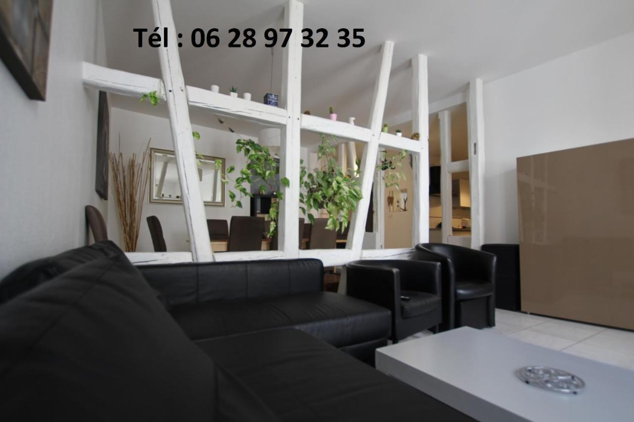 Gite Hyper Centre 10 Pers Colmar Zewnętrze zdjęcie