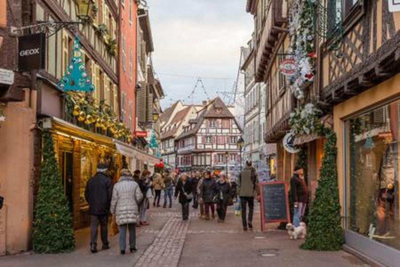 Gite Hyper Centre 10 Pers Colmar Zewnętrze zdjęcie