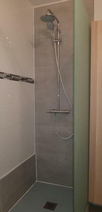 Gite Hyper Centre 10 Pers Colmar Zewnętrze zdjęcie